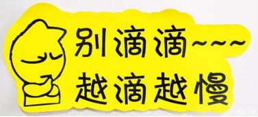 實習車上路 真的可怕嗎？解析馬路上的“隱形警報”與汽車陪駕服務